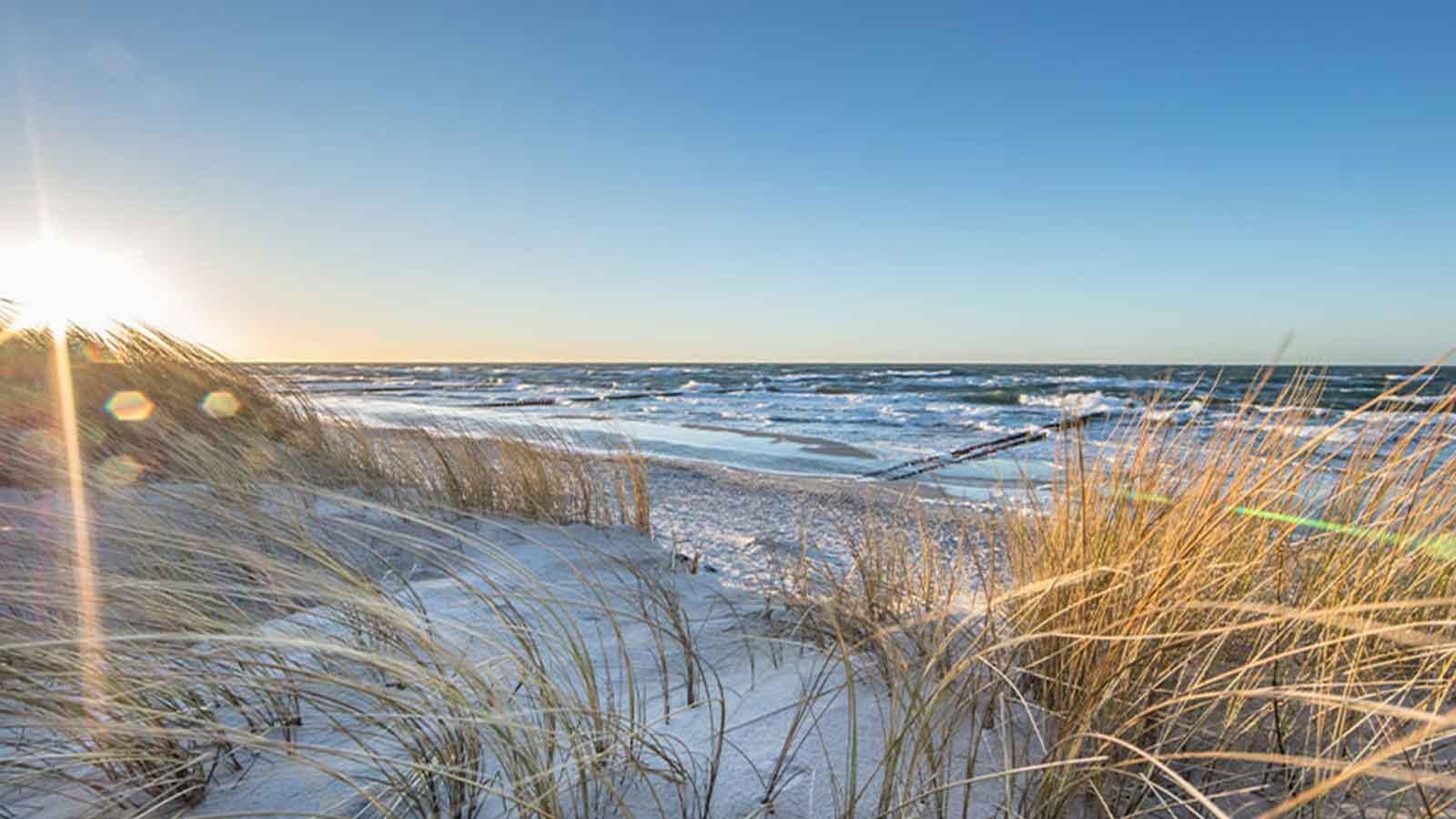 Strand mit Skulpturen